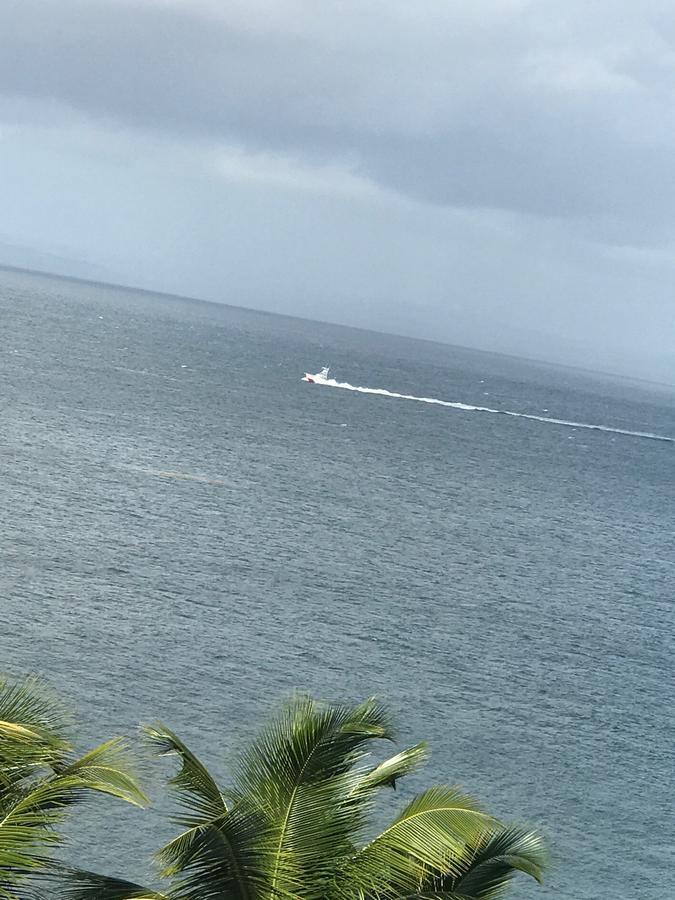 Vista Mare Spectacular Ocean View Top Floor 1-Bedroom Condo, Samana Экстерьер фото